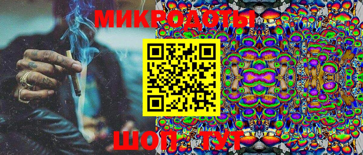 Галлюциногенные грибы Psilocybe Прокопьевск