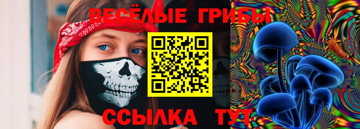 Псилоцибиновые грибы Cubensis  Вход с VPN  Прокопьевск 